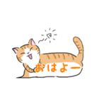 ねこにゃん吹き出し（個別スタンプ：1）