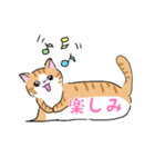 ねこにゃん吹き出し（個別スタンプ：2）