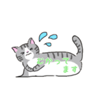 ねこにゃん吹き出し（個別スタンプ：11）