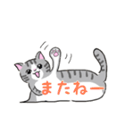 ねこにゃん吹き出し（個別スタンプ：13）