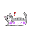 ねこにゃん吹き出し（個別スタンプ：14）