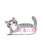 ねこにゃん吹き出し（個別スタンプ：15）