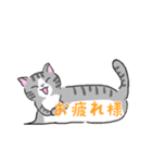 ねこにゃん吹き出し（個別スタンプ：16）