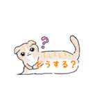 ねこにゃん吹き出し（個別スタンプ：26）