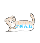 ねこにゃん吹き出し（個別スタンプ：27）