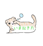 ねこにゃん吹き出し（個別スタンプ：30）