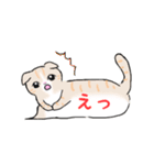 ねこにゃん吹き出し（個別スタンプ：31）