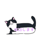 ねこにゃん吹き出し（個別スタンプ：34）