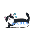 ねこにゃん吹き出し（個別スタンプ：35）