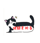 ねこにゃん吹き出し（個別スタンプ：40）