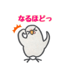 セキセイインコのルビーちゃん（個別スタンプ：9）