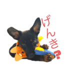 エミリースタンプ2（個別スタンプ：7）