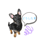 エミリースタンプ2（個別スタンプ：8）