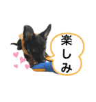 エミリースタンプ2（個別スタンプ：9）