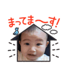 きなりスタンプ②（個別スタンプ：16）