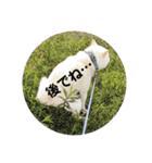 犬と犬と猫と猫。（個別スタンプ：10）