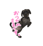 ソラリススタンプ（個別スタンプ：5）