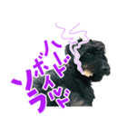ソラリススタンプ（個別スタンプ：8）