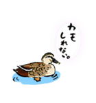ほっとする身近な生きもの（個別スタンプ：1）