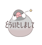 ゆるいふくふく文鳥 1（個別スタンプ：11）