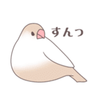 ゆるいふくふく文鳥 1（個別スタンプ：37）