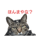 奇跡のオムツマン「兄弟参戦！！」（個別スタンプ：4）