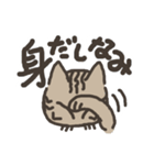 ねこスペ2（個別スタンプ：4）