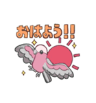 インコのあいさつのスタンプ（個別スタンプ：1）