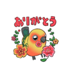 インコのあいさつのスタンプ（個別スタンプ：4）