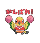 インコのあいさつのスタンプ（個別スタンプ：11）