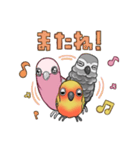 インコのあいさつのスタンプ（個別スタンプ：16）