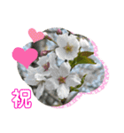 ゆきちゃん宅スタンプ28（個別スタンプ：2）