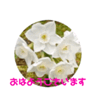 ゆきちゃん宅スタンプ28（個別スタンプ：4）