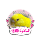 ゆきちゃん宅スタンプ28（個別スタンプ：5）