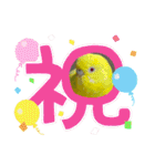ゆきちゃん宅スタンプ28（個別スタンプ：9）