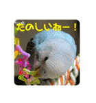 ゆきちゃん宅スタンプ28（個別スタンプ：11）