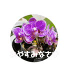 ゆきちゃん宅スタンプ28（個別スタンプ：20）