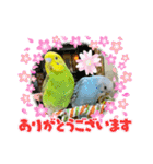ゆきちゃん宅スタンプ28（個別スタンプ：21）