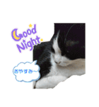小春びより…の空（個別スタンプ：4）