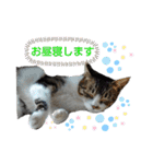小春びより…の空（個別スタンプ：7）