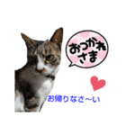 小春びより…の空（個別スタンプ：10）