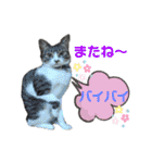 小春びより…の空（個別スタンプ：14）