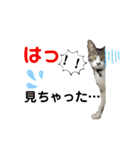 小春びより…の空（個別スタンプ：19）