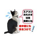 小春びより…の空（個別スタンプ：20）