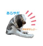 小春びより…の空（個別スタンプ：21）