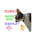 小春びより…の空（個別スタンプ：24）