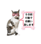 小春びより…の空（個別スタンプ：30）