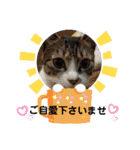 小春びより…の空（個別スタンプ：31）