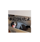 治一郎のスタンプ（個別スタンプ：10）