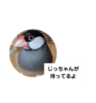 治一郎のスタンプ（個別スタンプ：13）